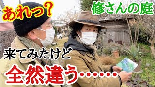 冬の庭はこれで大丈夫？初心者が知りたい冬のお庭見せます【個人庭】【ガーデニング】【園芸】【鈴木修】【個人邸の庭】