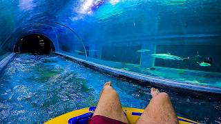 Riding a Water Slide Through a Shark Tank 🦈