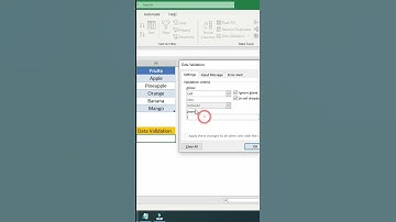 Excel Data Validation #exceltips #exceltutorial #howto #tutorials