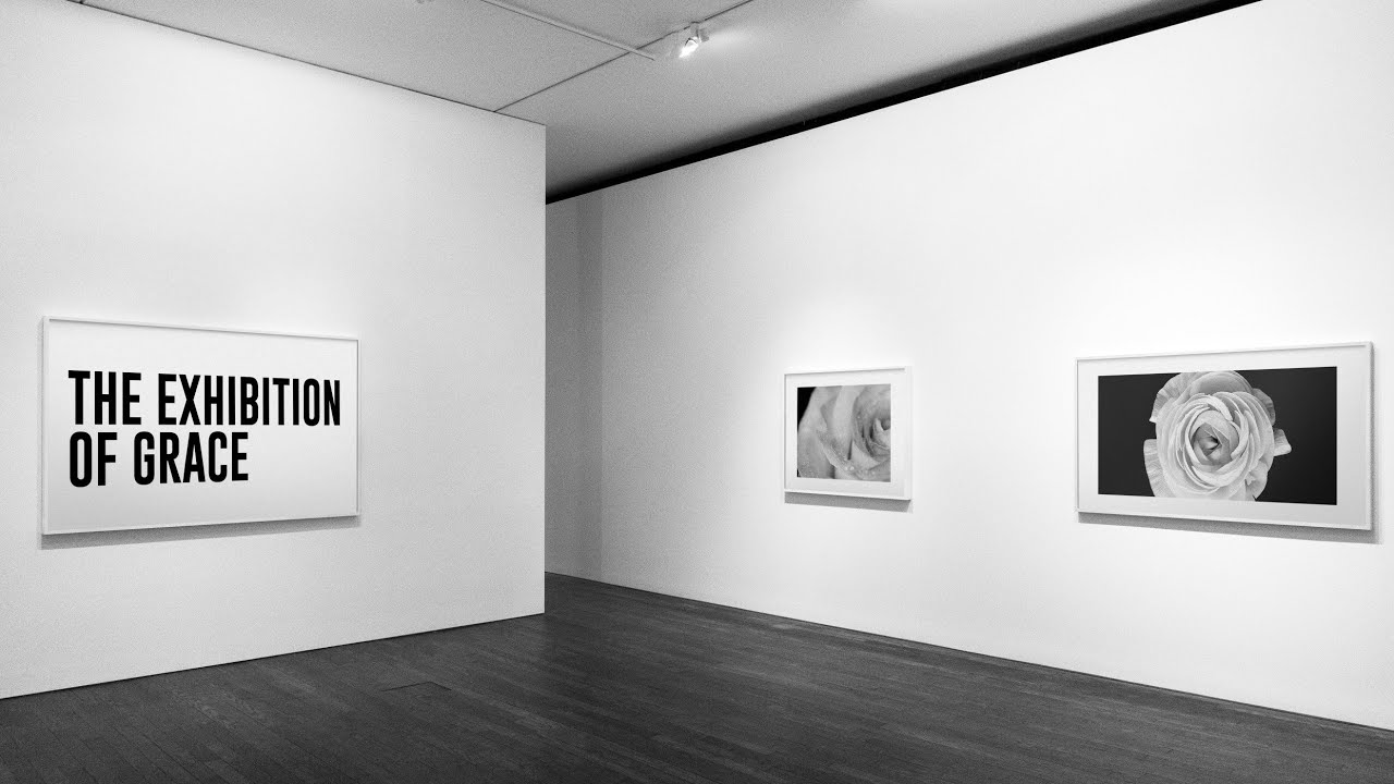 Sunday Livestream Jesse Kelly Renew Church NZ Online YouTube