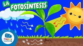 🌱☀️ Aprende LA FOTOSÍNTESIS | Vídeos Educativos para Niños de PRIMARIA |@HappyLearningES
