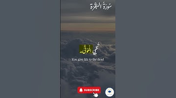 صلوا على النبي  ﷺ تُرفع درجاتكم 🤲 #quran #قرآن #اسلام #راحة_نفسية #سورة_البقرة