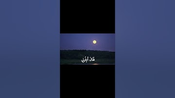 سورة البقرة | الآية 30 | القارئ : #مشاري_العفاسي #قرآن