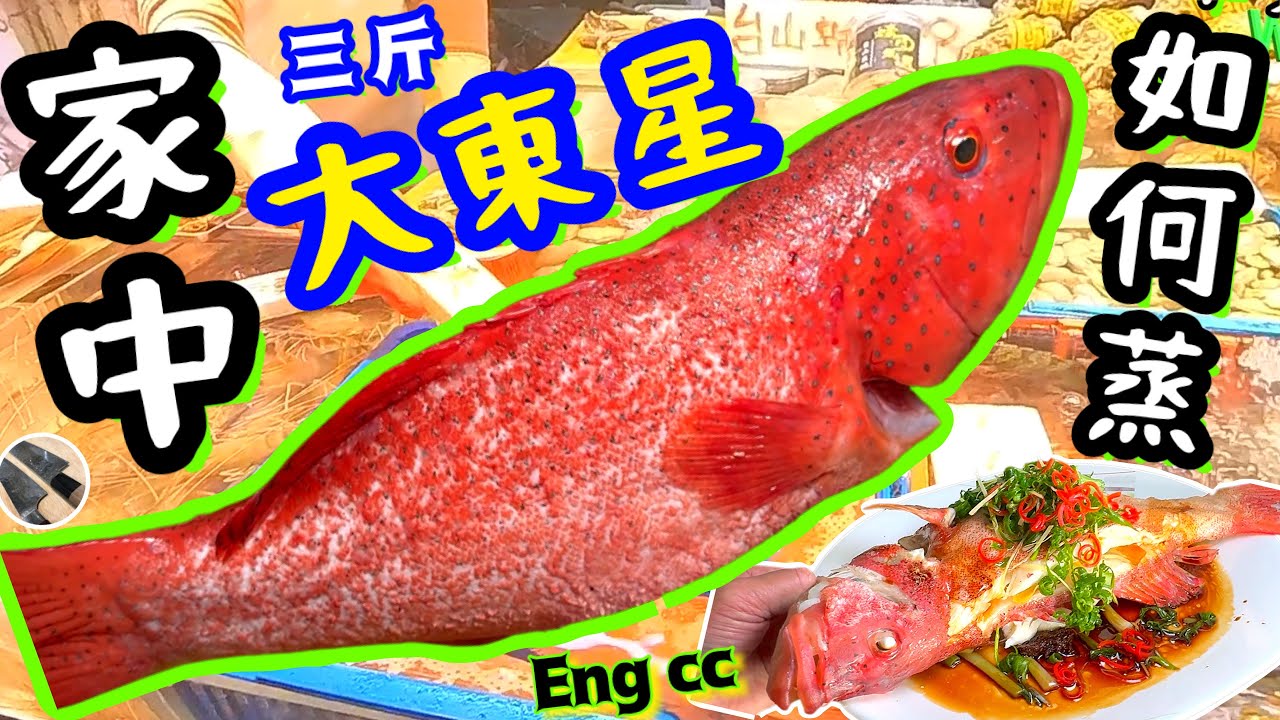 休漁期後🐟見到大魚點蒸好🤔職人大魚蒸冇技巧👋🏻一生受用🌟喜歡食譜請點讚/留言/分享💞 中英文字幕🍀