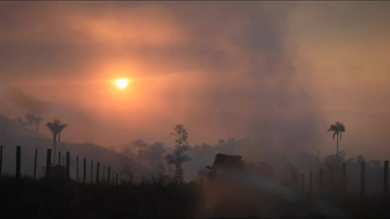 Large tracts of land burned in Amazon rain forest fires
