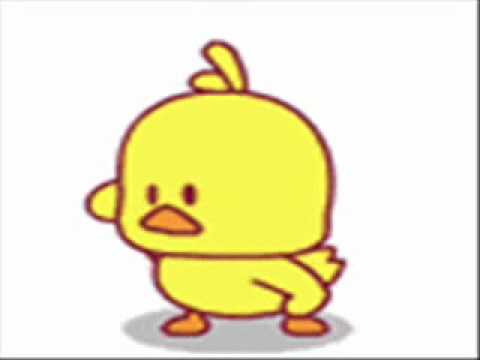 Funny Duck singing Ima Whoop Somebodys Ass - YouTube
