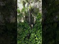 Stunning waterfall 🌳🤩 #dji #drone