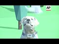 New York fetches a Dog Museum New York fetches a Dog Museum