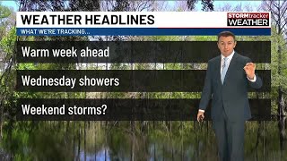 Celebrity Spring-like weather on the Gulf Coast; chances for rain later this week Net Worth