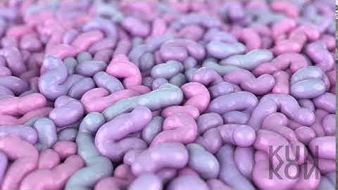 Maya Simulation Test vfx - Arnold Render.