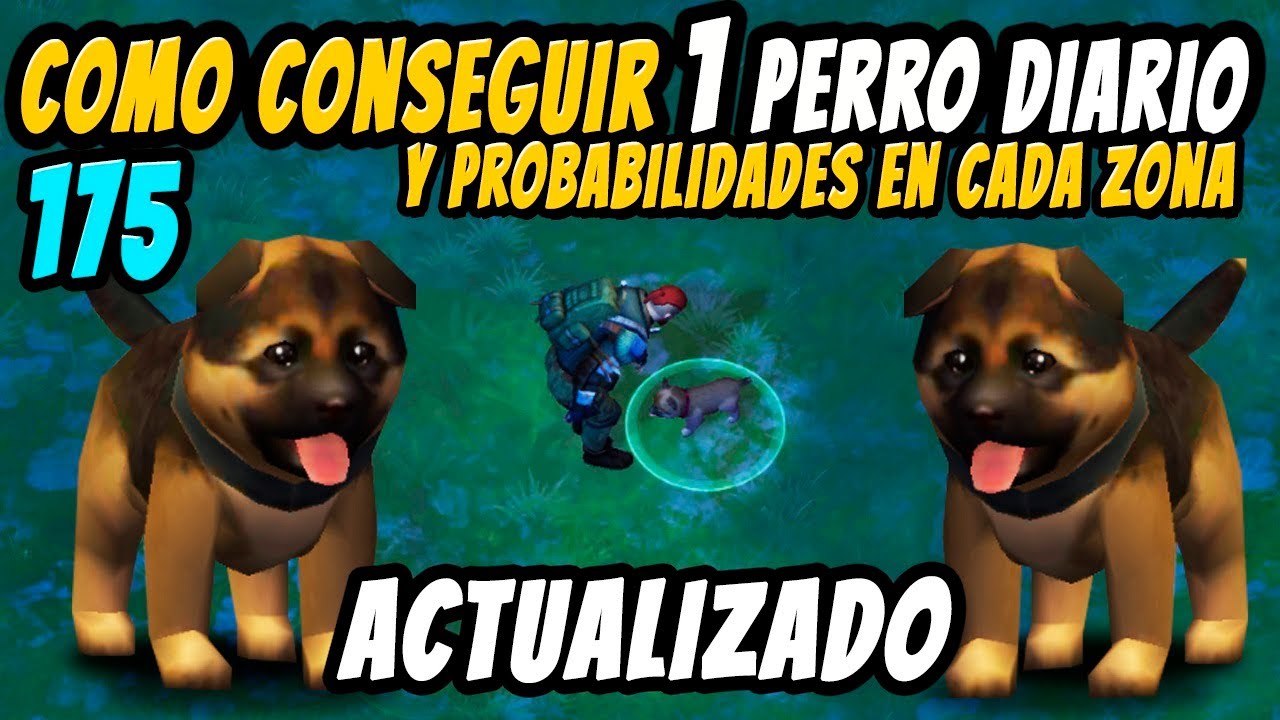 Conseguir 1 Perro Diario Last Day On Earth Survival Youtube