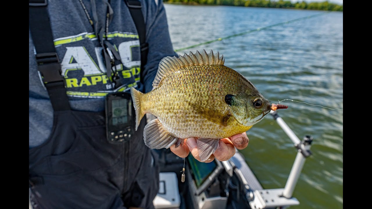 Drop-Shot Panfish Rig @ Sportsmen's Direct: Targeting Outdoor