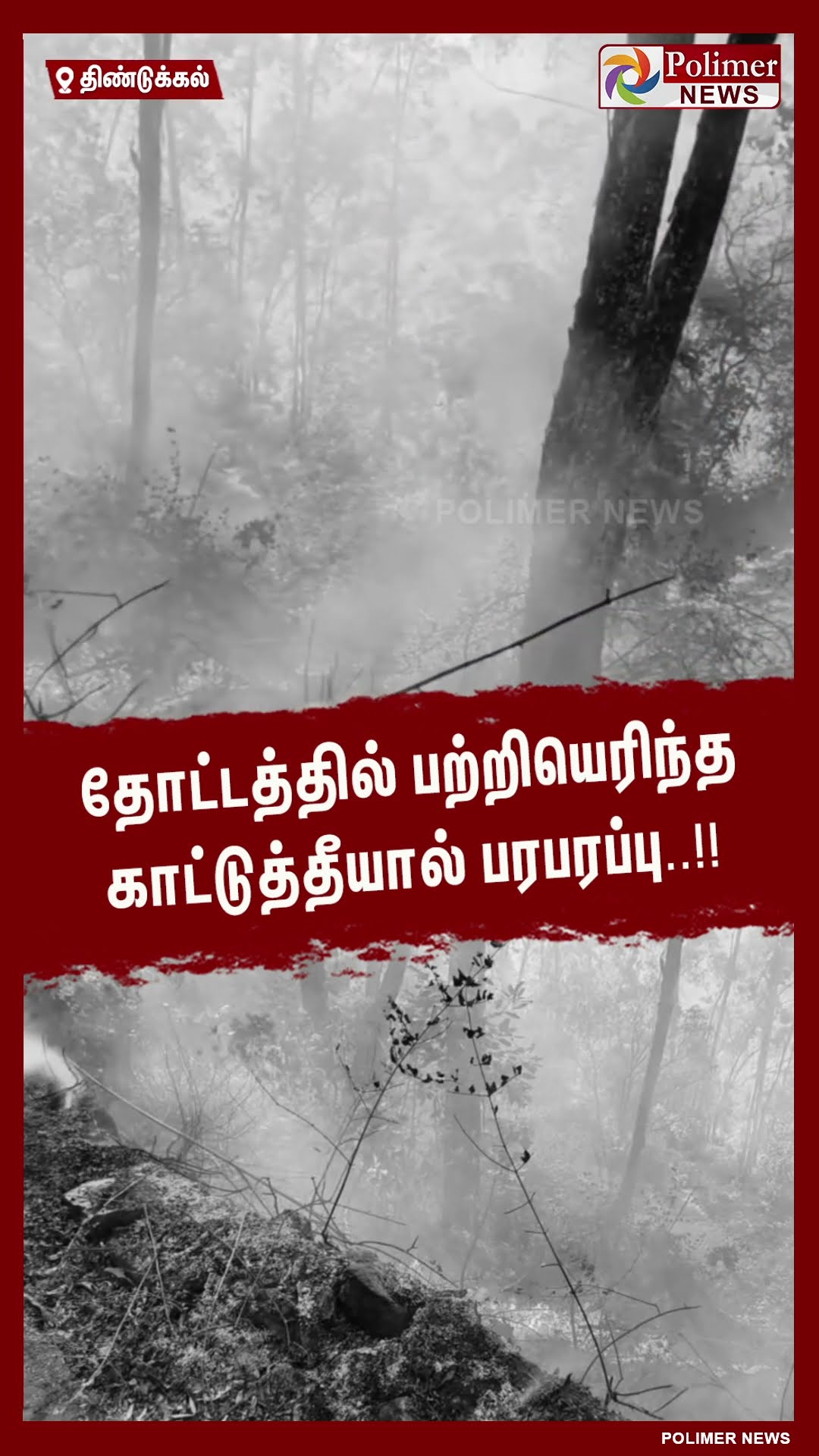 தோட்டத்தில் பற்றியெரிந்த காட்டுத்தீயால் பரபரப்பு..!! #shorts | #fire