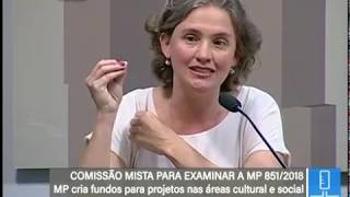 MP 851 - Patrimônio público - TV Senado AO VIVO - 14/11/2018