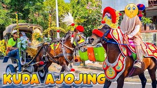 KUDA | KUDA DELMAN - NAIK KUDA RENGGONG KAJEN - AJOJING ALA ALA AJOJING