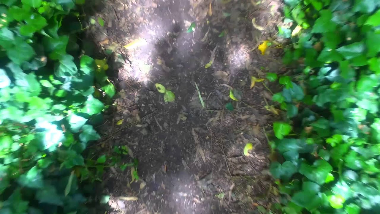 Bosque Encantado, General Belgrano, Bs. As. (Filmación con drone) YouTube