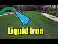 Make Grass Green with Liquid Iron
