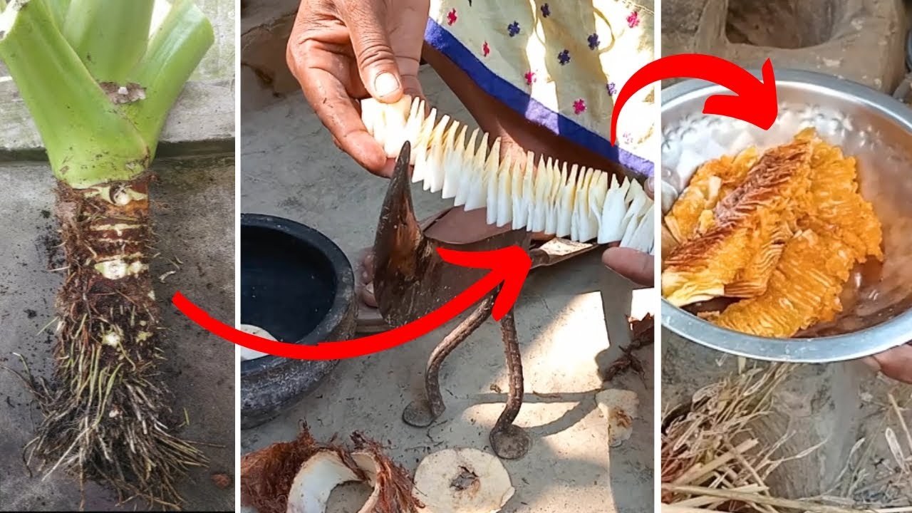 Kachu Infection কচু গাছের ইউনিক মজাদার রেসিপি || কচু ভাজা রেসিপি - Delicious recipe of ...