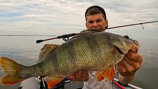 видео: В этих КОРЧАХ Окуни как Судаки! Рецепт Окуня Горячего Копчения! Рыбалка на спиннинг 2025 картинка: В этих КОРЧАХ Окуни как Судаки! Рецепт Окуня Горячего Копчения! Рыбалка на спиннинг 2025
