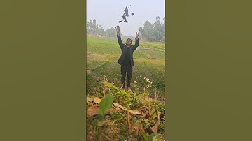 Creative Slow Motions Shorts Videography Tips👀! #shafiurcreatives #shorts #viralvideos #viralshorts