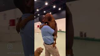 Inside Look: Pet Pavilion's Day Care - Where Pets Play & Relax in Abu Dhabi 🐾