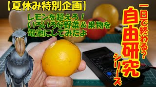 【1日で終わる自由研究】レモンを超えろ！いろいろな野菜＆果物を電池にしてみたよ