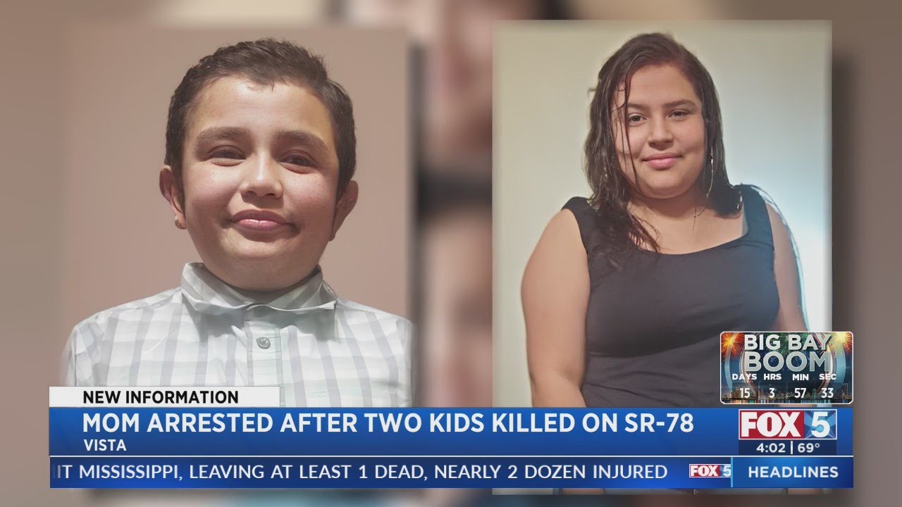 Mom Arrested After 2 Kids Killed On SR 78 YouTube mom-arrested-after-2-kids-killed-on-sr-78-youtube