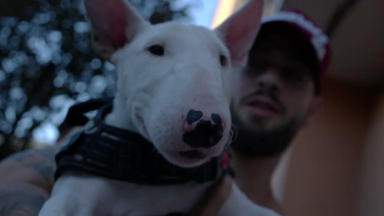 Watch DONKA - LEBRON on YouTube Watch DONKA - LEBRON on YouTube