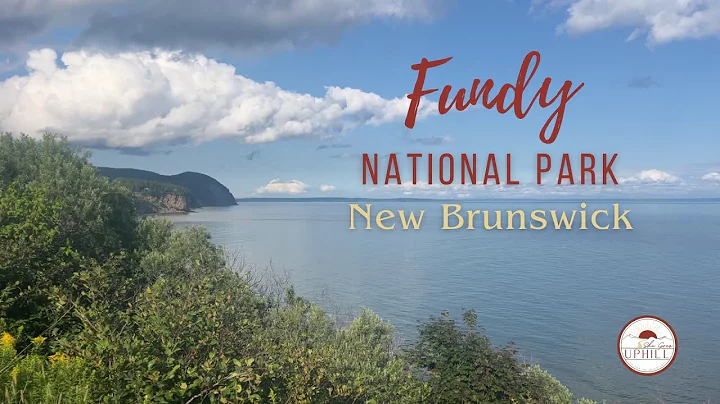 Hiking in Fundy National Park | 4 Trails, Epic Views & Waterfalls
