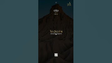 فلا تظلم نفس شيئا | خالد الجليل || سورة الأنبياء