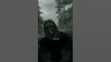 Typical skyrim bug/moment 2