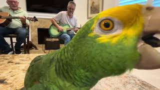 No Woman,No Cry Feat. Brad Voss