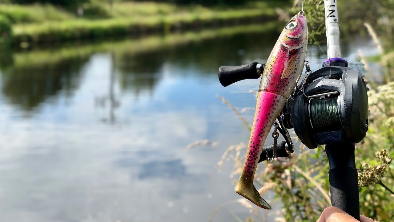 CRAZY take from a big canal fish! – Short swimbait session – UK Lure Fishing