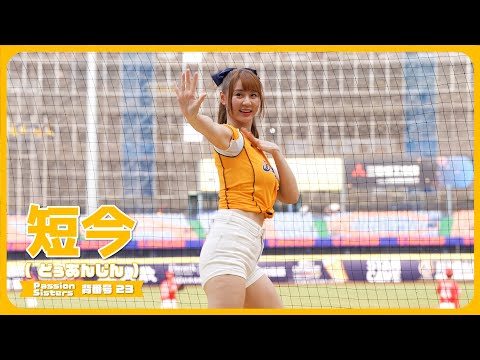 短今（Sammie）Passion Sisters 中信兄弟啦啦隊 cheerleader 치어리더 臺中洲際棒球場 2024/4/14【台湾チアTV】