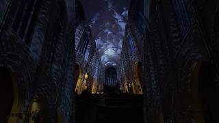 Immersive Experience Creates Living Canvas