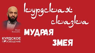 видео: Курдская народная сказка Мудрая змея картинка: Курдская народная сказка Мудрая змея