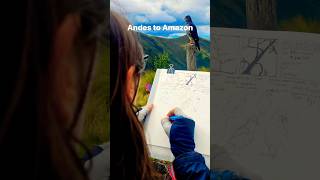 Andes to Amazon Nature Journaling Adventure! #naturejournal
Want to join the team of nature journalers going through the megabiodiverse regions of Ecuador in 2025? Learn more at https://marleypeifer.com/event/andestoamazon2025/ Andes to Amazon Nature Journaling Adventure! #naturejournal