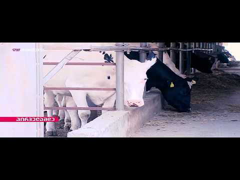 როგორ ხვდება მეორადი მოხმარებული ზეთი, როგორც მომწამლავი ნივთიერება ჩვენს ორგანიზმში