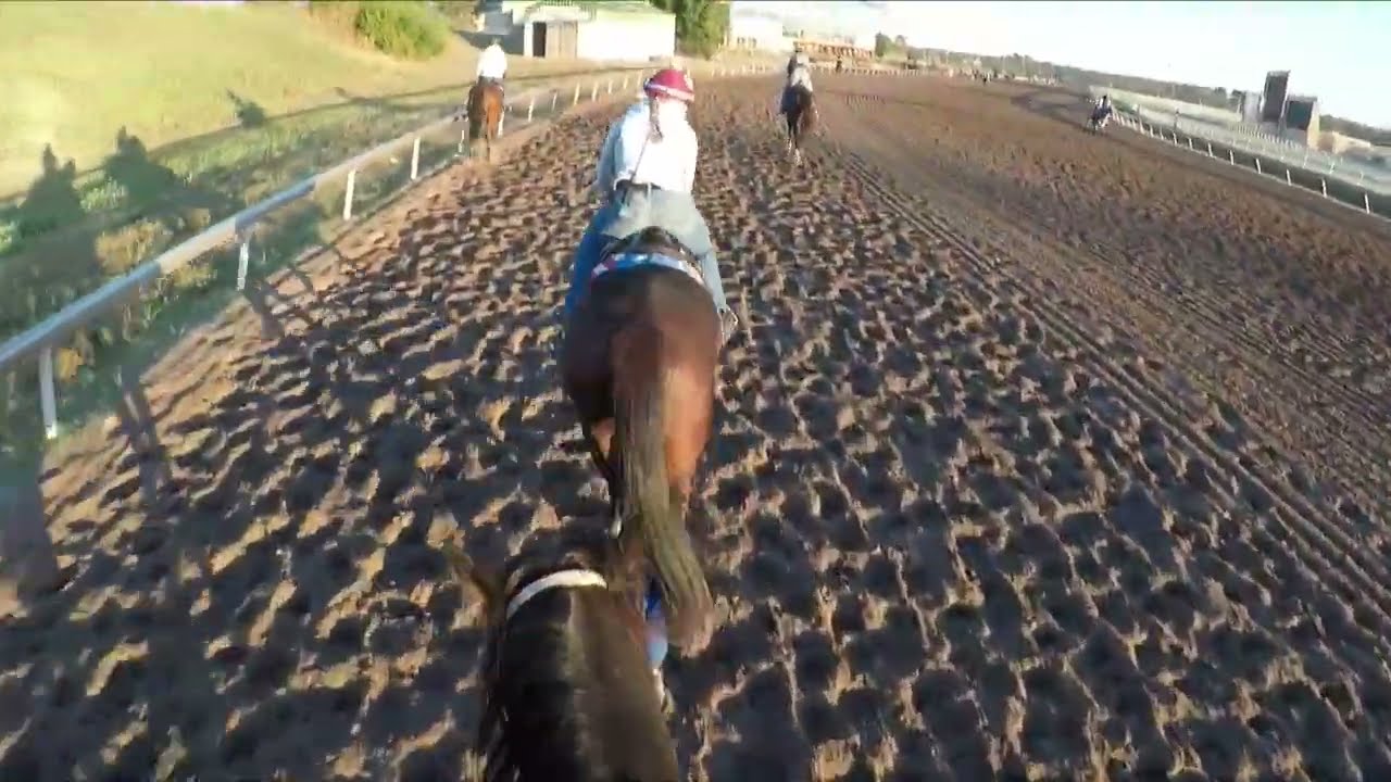 Savvy, Thunder & Princess  October 22nd, 2025