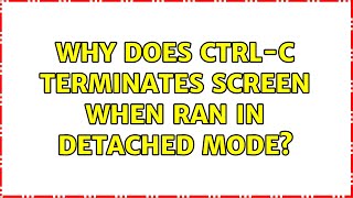 Why does Ctrl-C terminates screen when ran in detached mode?