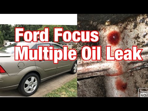 2005 Ford Focus ZX4 SES Multiple Oil Leak - YouTube
