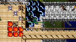 Tibia Namekuzeny - Parte 5