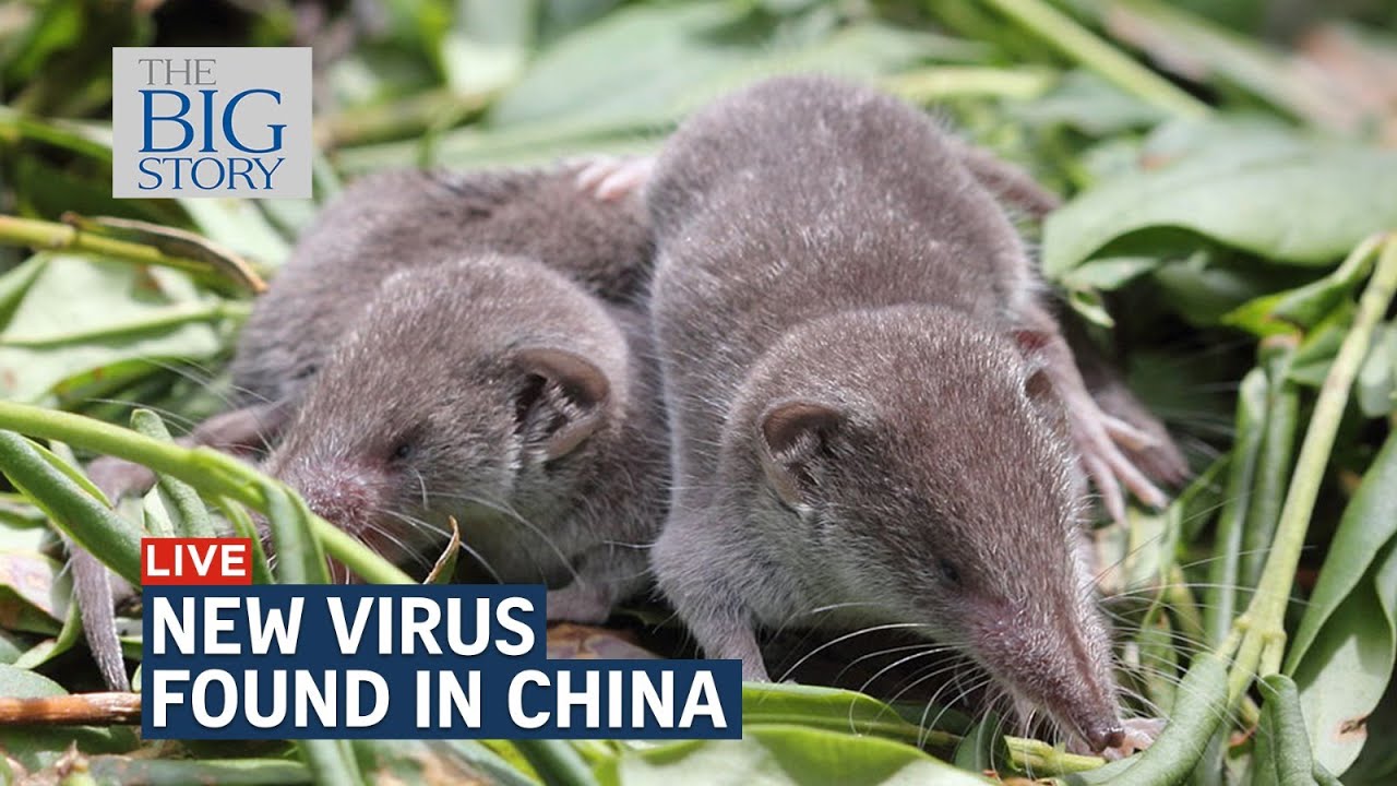 Singapore researchers monitoring new virus in China for human-to-human transmission | THE BIG STORY