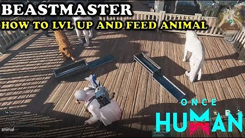Once Human - Beastmaster how to level up and feed animal | Leopard Coordinate