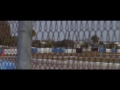 Winter Test Recap - ALMS - Tequila Patron - ESPN - Racing - Sports Cars - 2013