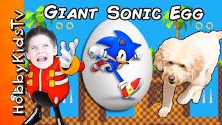 We Open a Giant SONIC Surprise Egg while HobbyDog Races Toys with HobbyKids