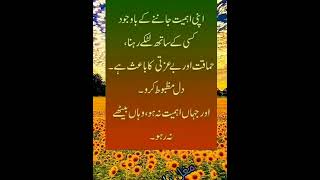 Apni Ahmiat Janny K || goldenwords inspirationalquotes urdu