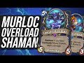 FAILED EXPERIMENT - Overload Murloc Shaman | Standard | Hearthstone