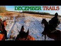 Young horses Bruce &amp; Kip go for a beautiful December ride on new trails