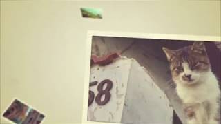 Minimalistic Photo Frames - After Effects Template